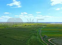 河套战狼队对阵雪域朱雀队，棒球小组赛小胜，细节决定成败——临场应变见真章的简单介绍