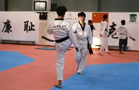 爱游戏在线官网 - 跆拳道夜战：岭南灰熊队鏖战江汉貔貅队，速度优势明显边后卫成为亮点