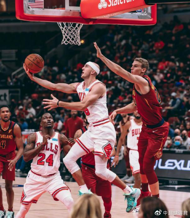  不看你会后悔第1447期动图 