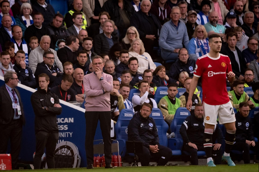 布莱顿主场迎战水晶宫分析最新